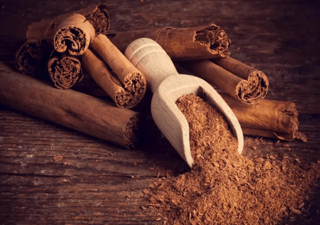 The Best Ceylon Cinnamon: How to Choose and Why It’s Worth It