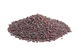 Brown Mustard Seed