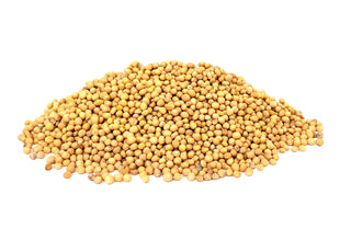 Yellow Mustard Seeds