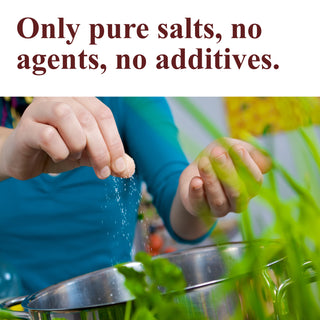 Garlic Salt Seasoning