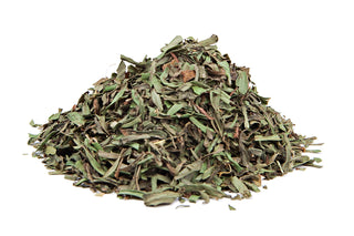 Tarragon Leaves