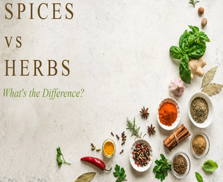 what is the difference between herbs and spices