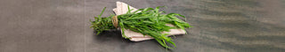What is tarragon