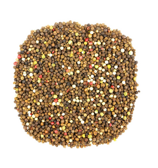 What is Rainbow Peppercorn?