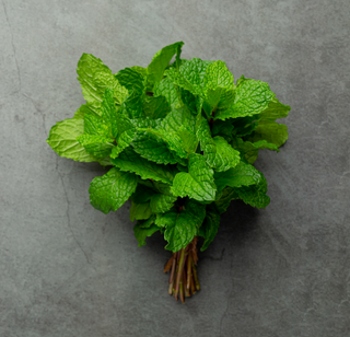 How to Store Mint Leaves: Keep Your Mint Fresh and Flavorful