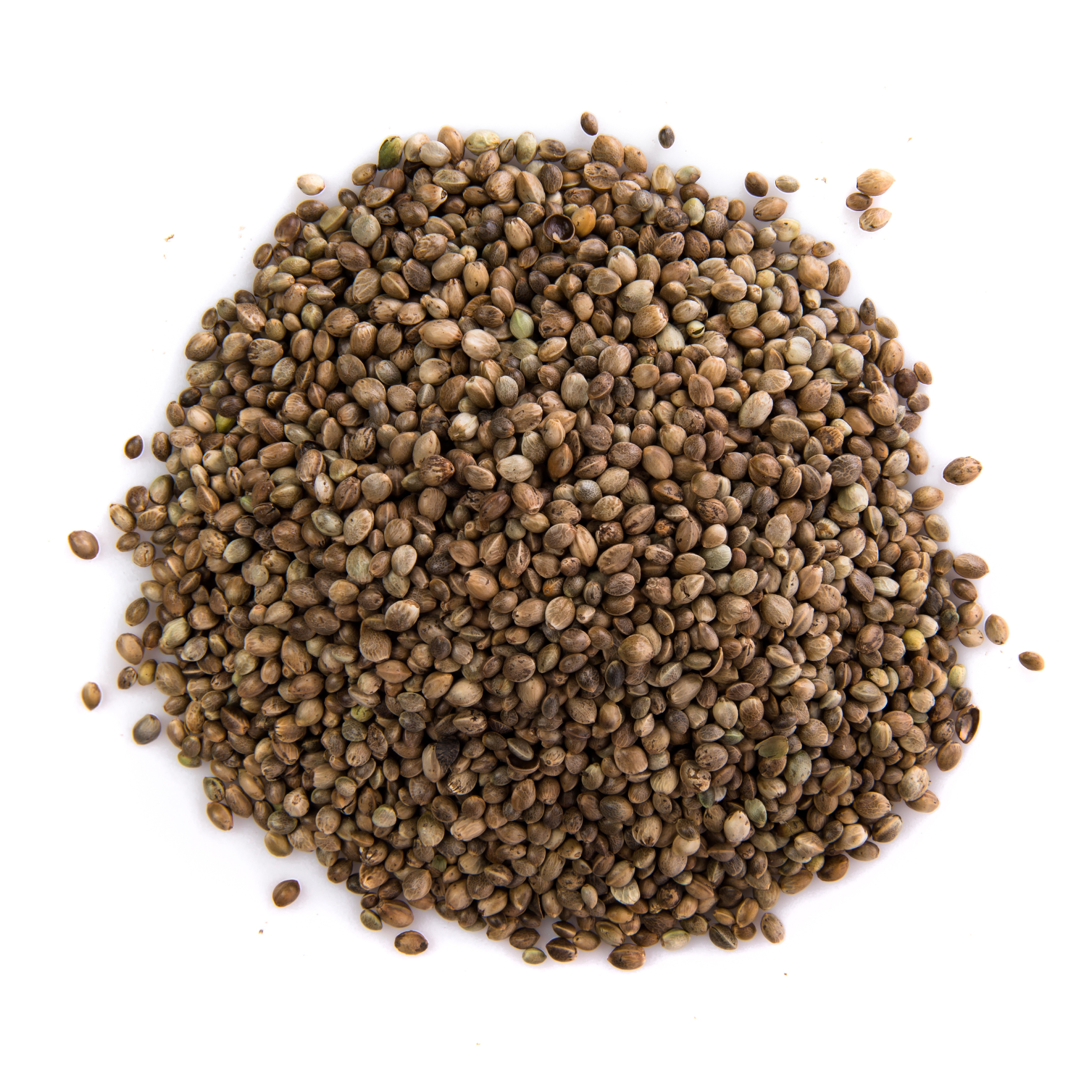 What Is Coriander Seed?