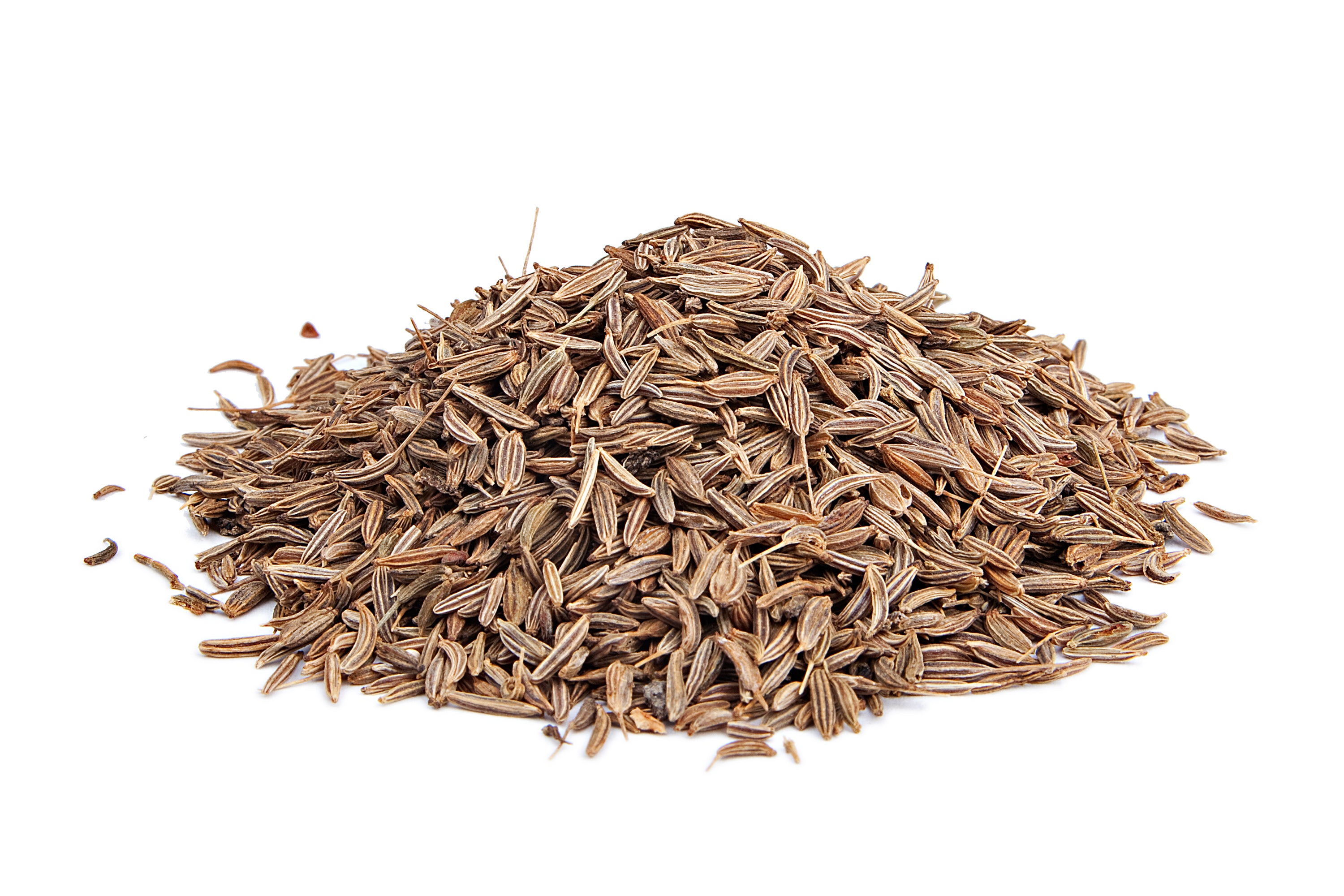 Caraway Seed  THE SPICE MAN